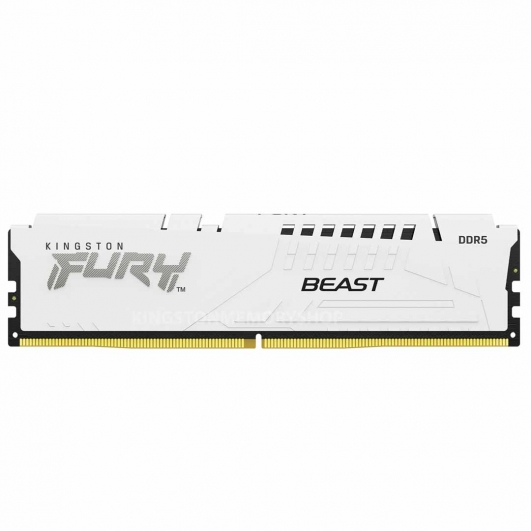 32GB Kingston FURY Beast KF556C40BW-32 DDR5 5600MT/s Non-ECC Memory DIMM, XMP