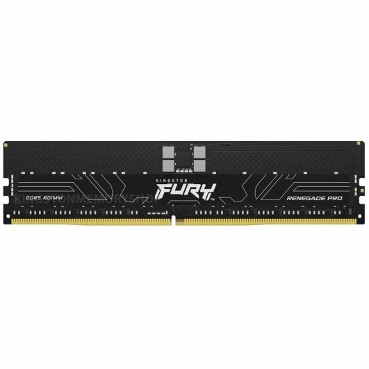 16GB Kingston FURY Renegade Pro KF556R28RBE-16 DDR5 5600MT/s ECC Registered Memory DIMM