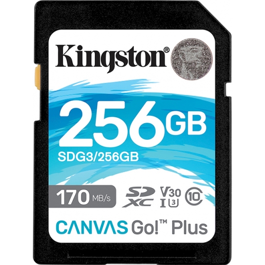Kingston 256GB Canvas Go Plus SD Card - U3, V30, Up To 170MB/s
